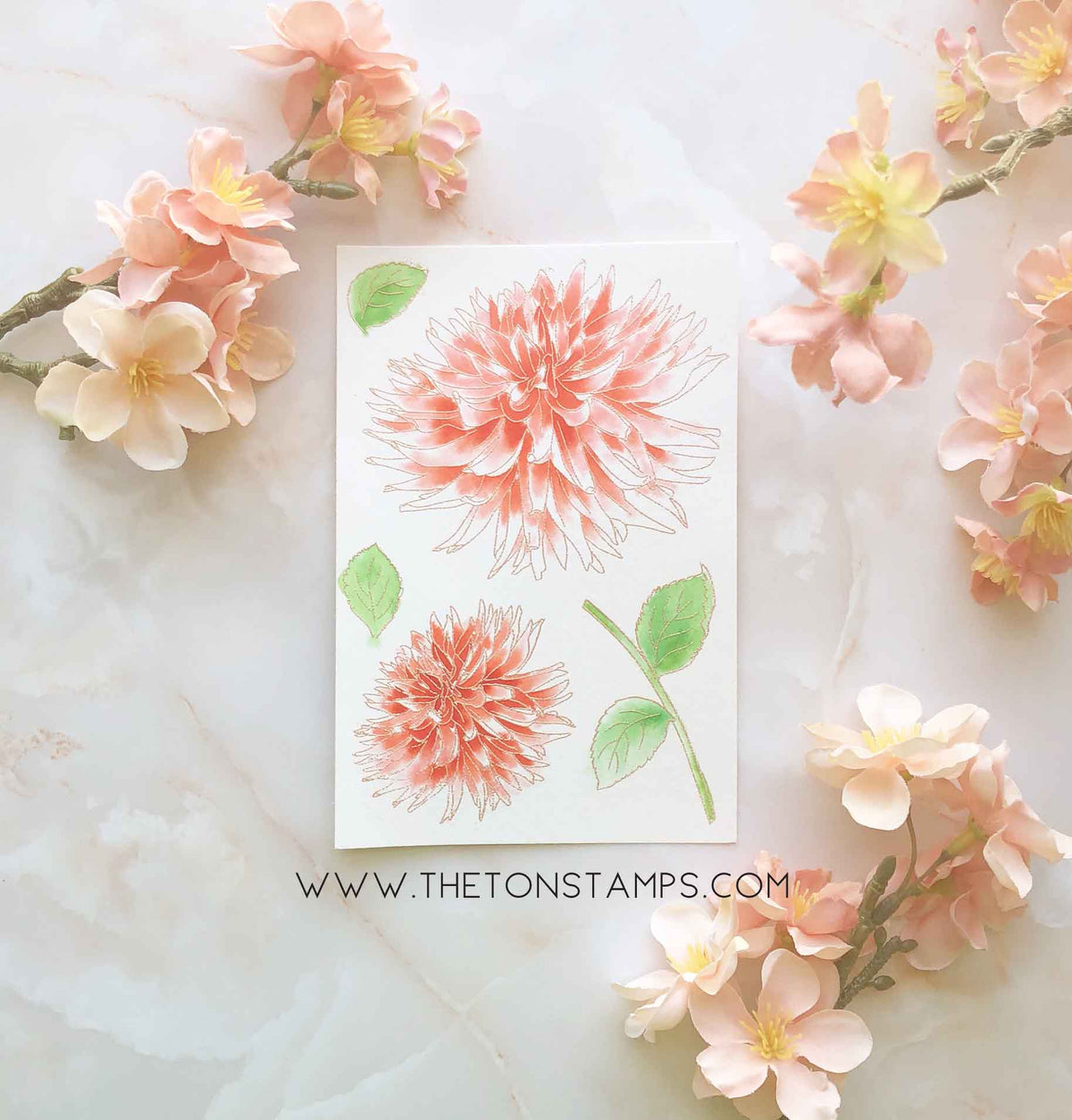 Large Dahlia 3