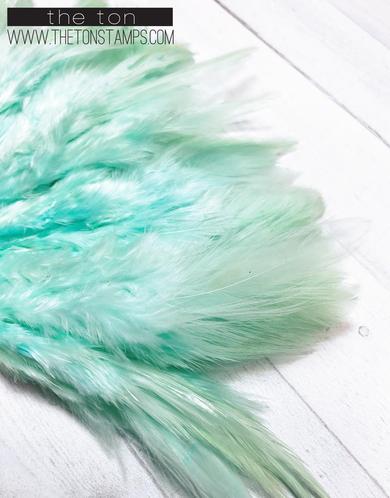 Feathers - Mint Simple