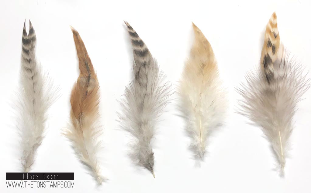 Feathers - Natural Fawn
