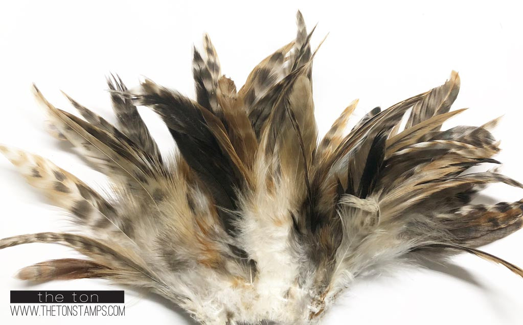 Feathers - Natural Fawn