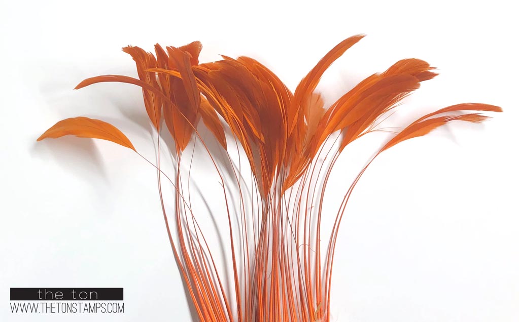 Feathers - Orange Fine