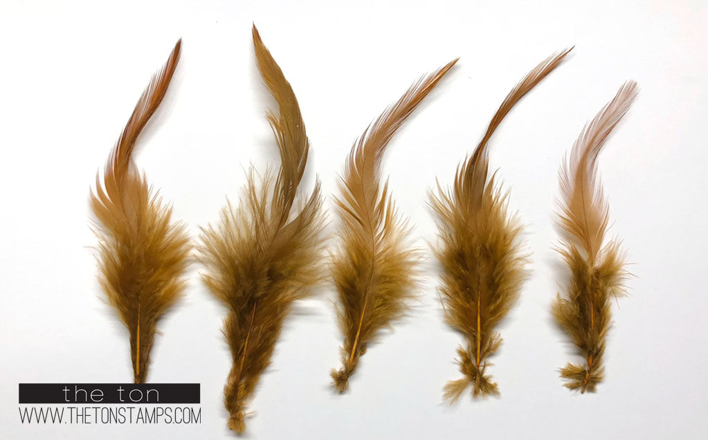 Feathers - Tawny Simple