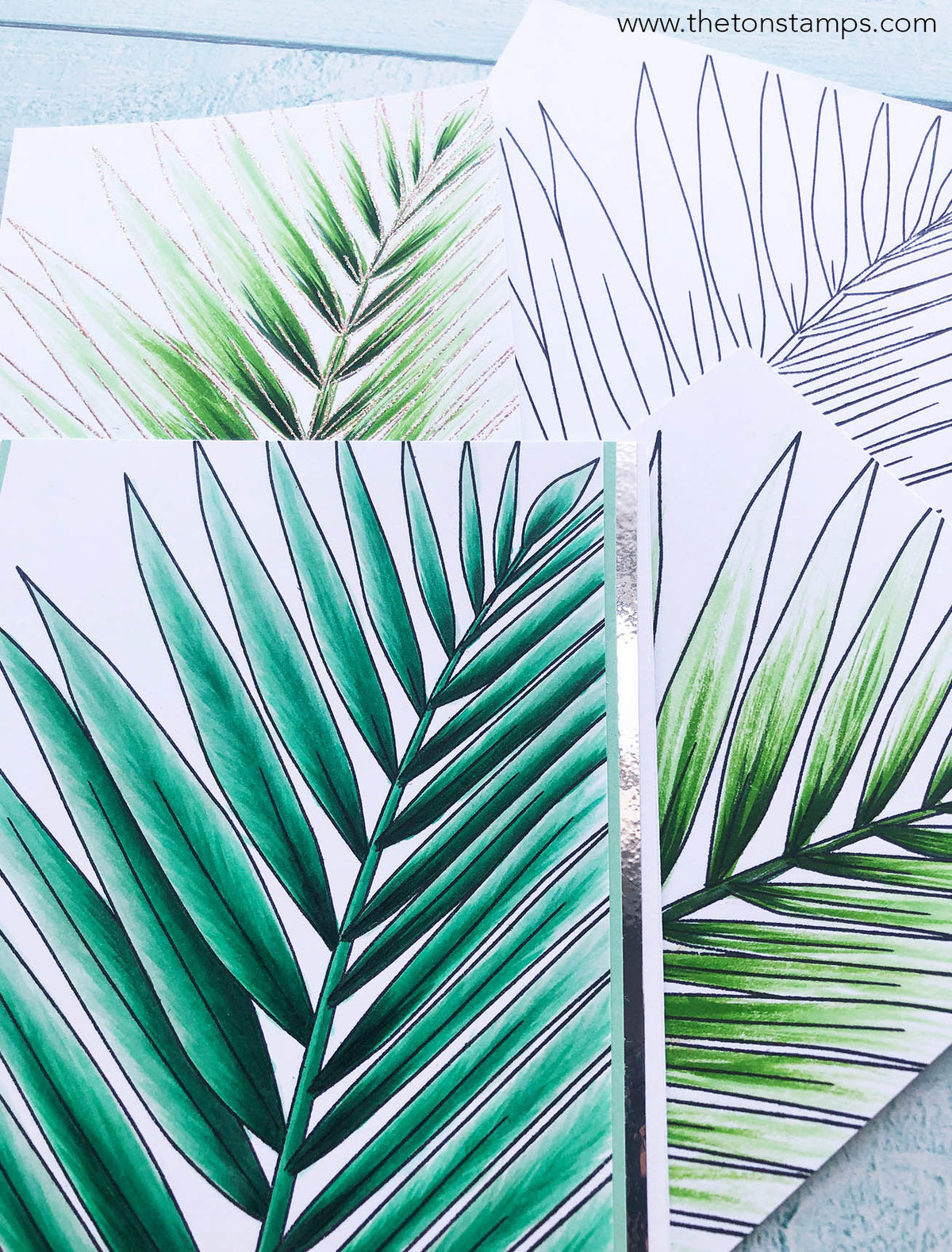Palm Close Up