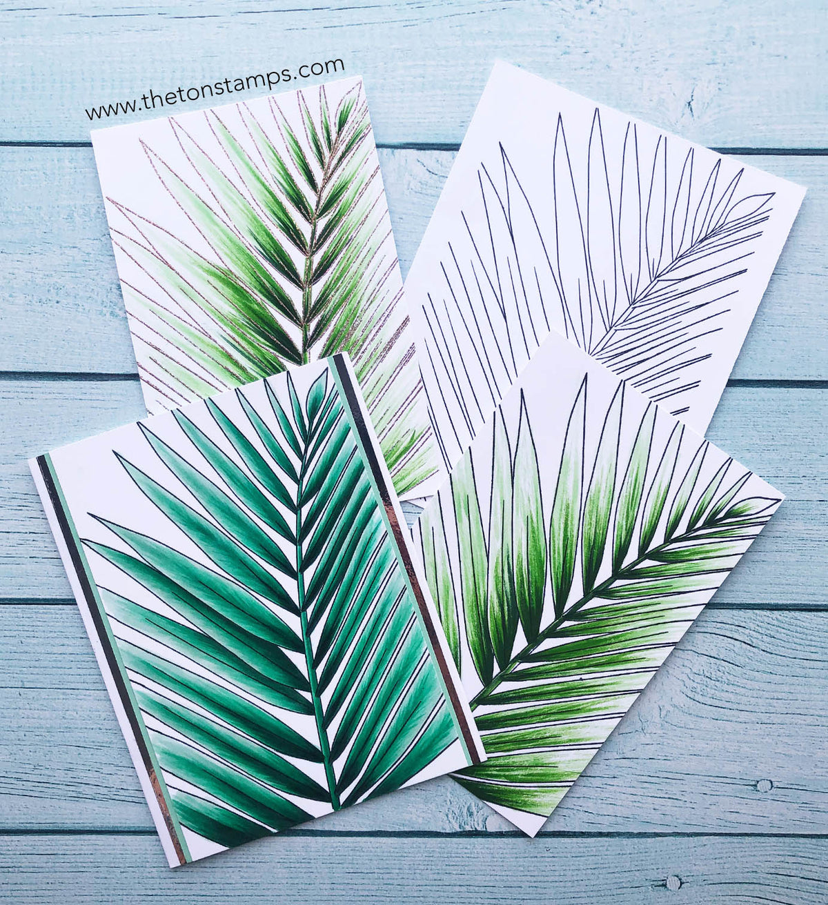 Palm Close Up