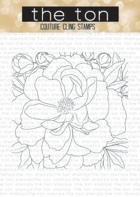 Peony Close Up Cling Background