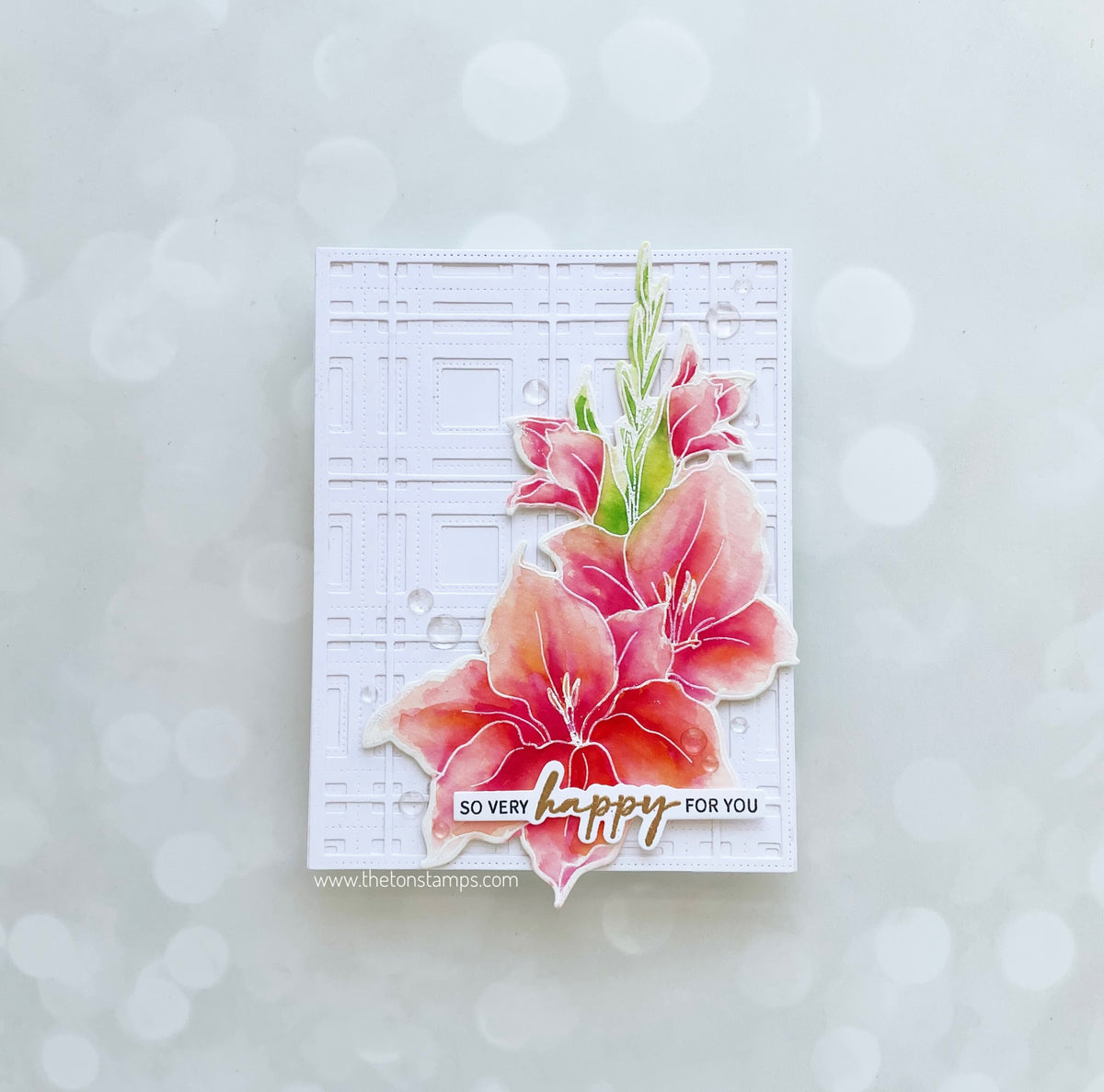 Gladiola Cheer