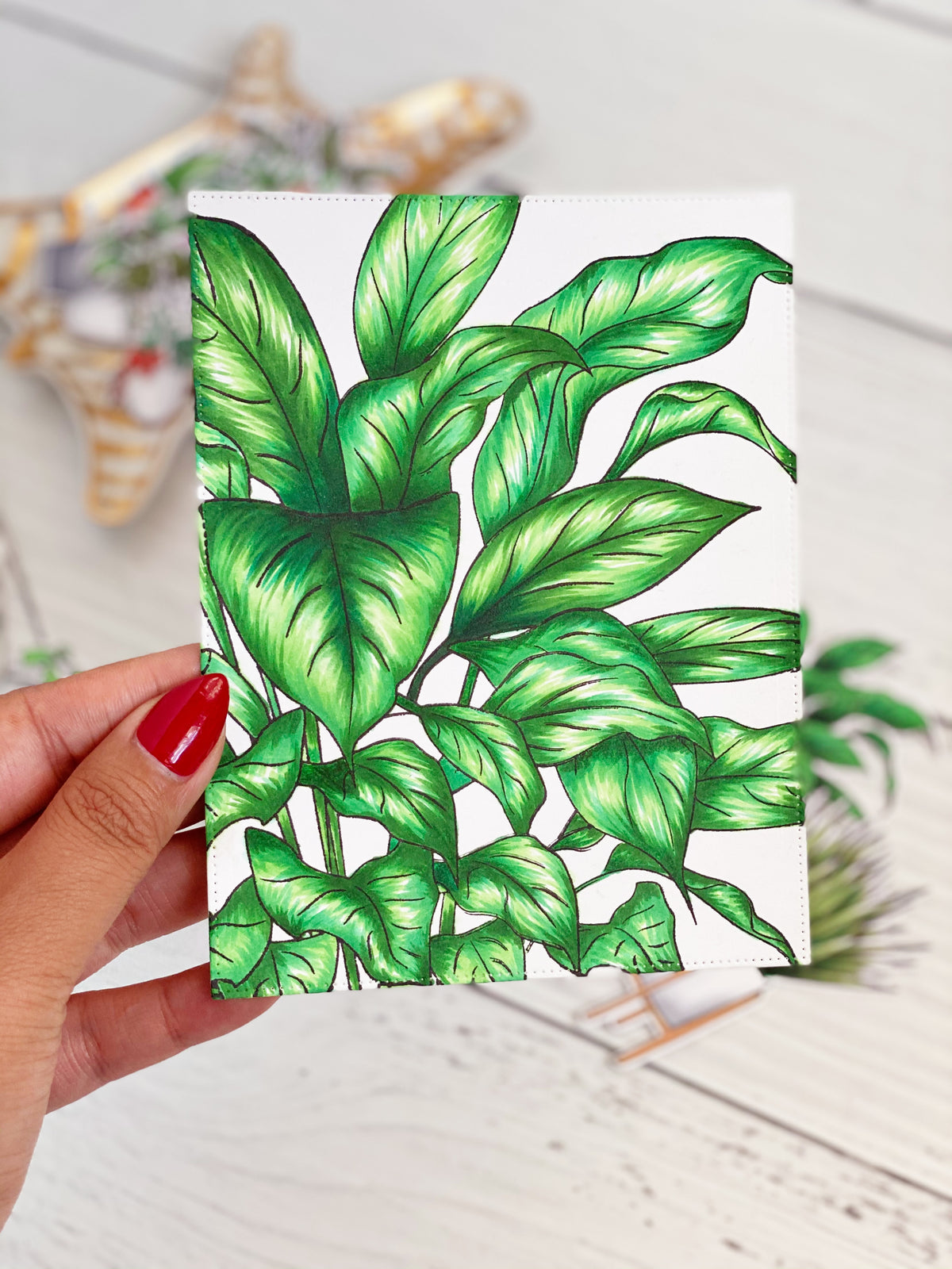 Refreshing Evergreen Cling Background