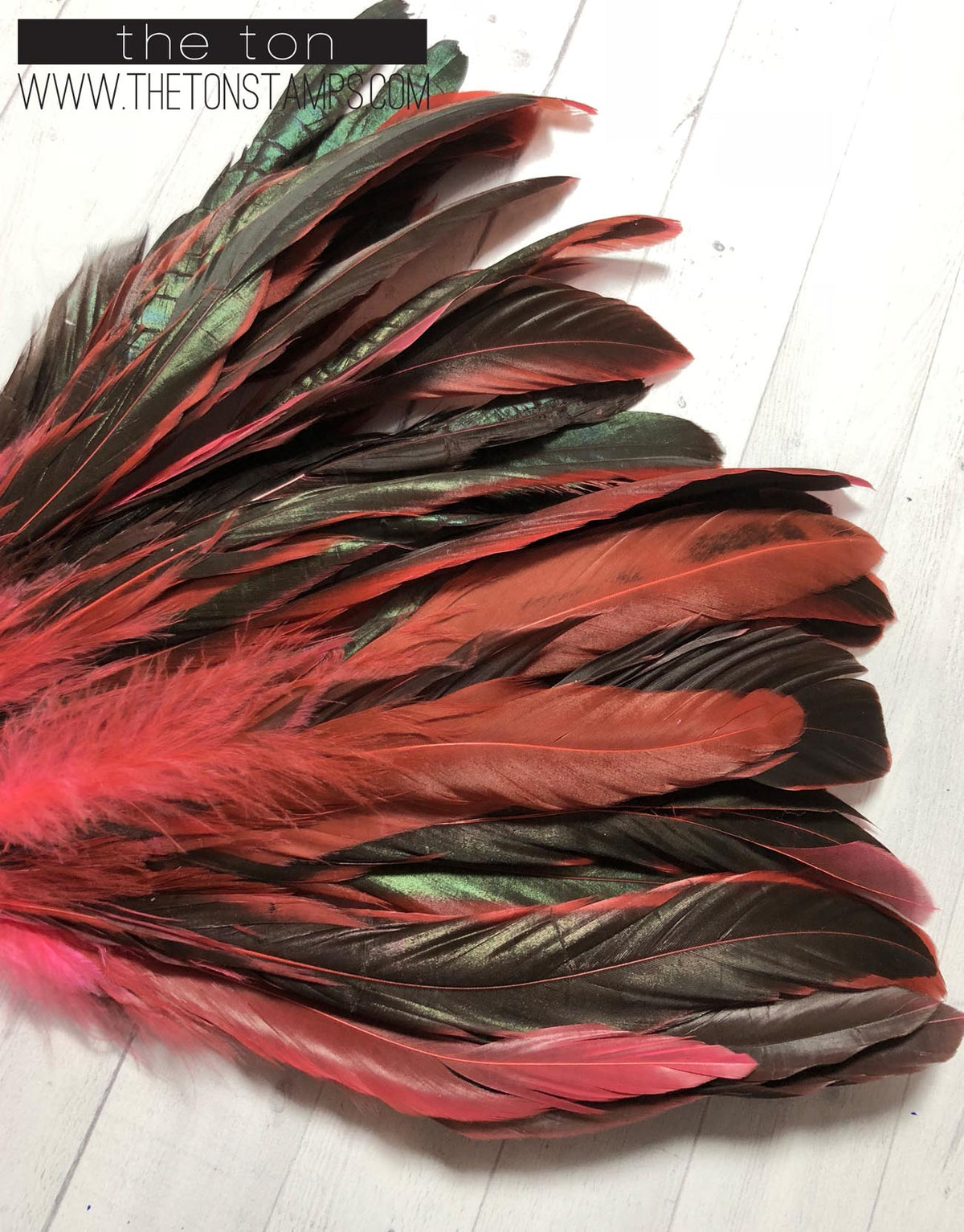 Feathers - Pink Long