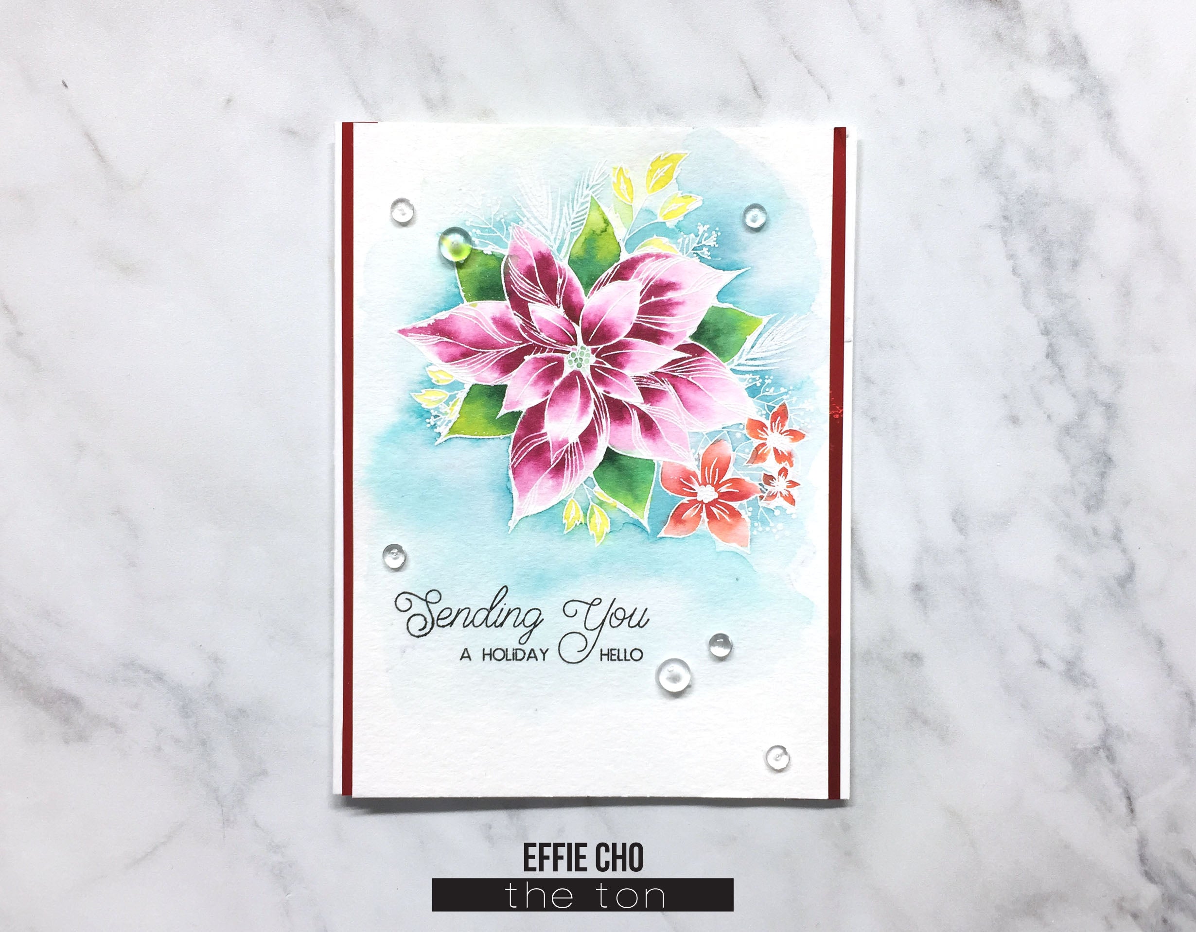 Holiday Love Poinsettia