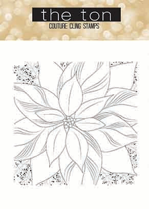 Poinsettia Close Up Background