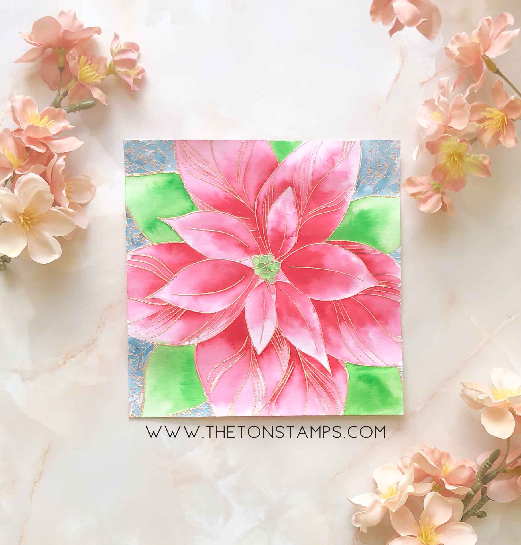 Poinsettia Close Up Background