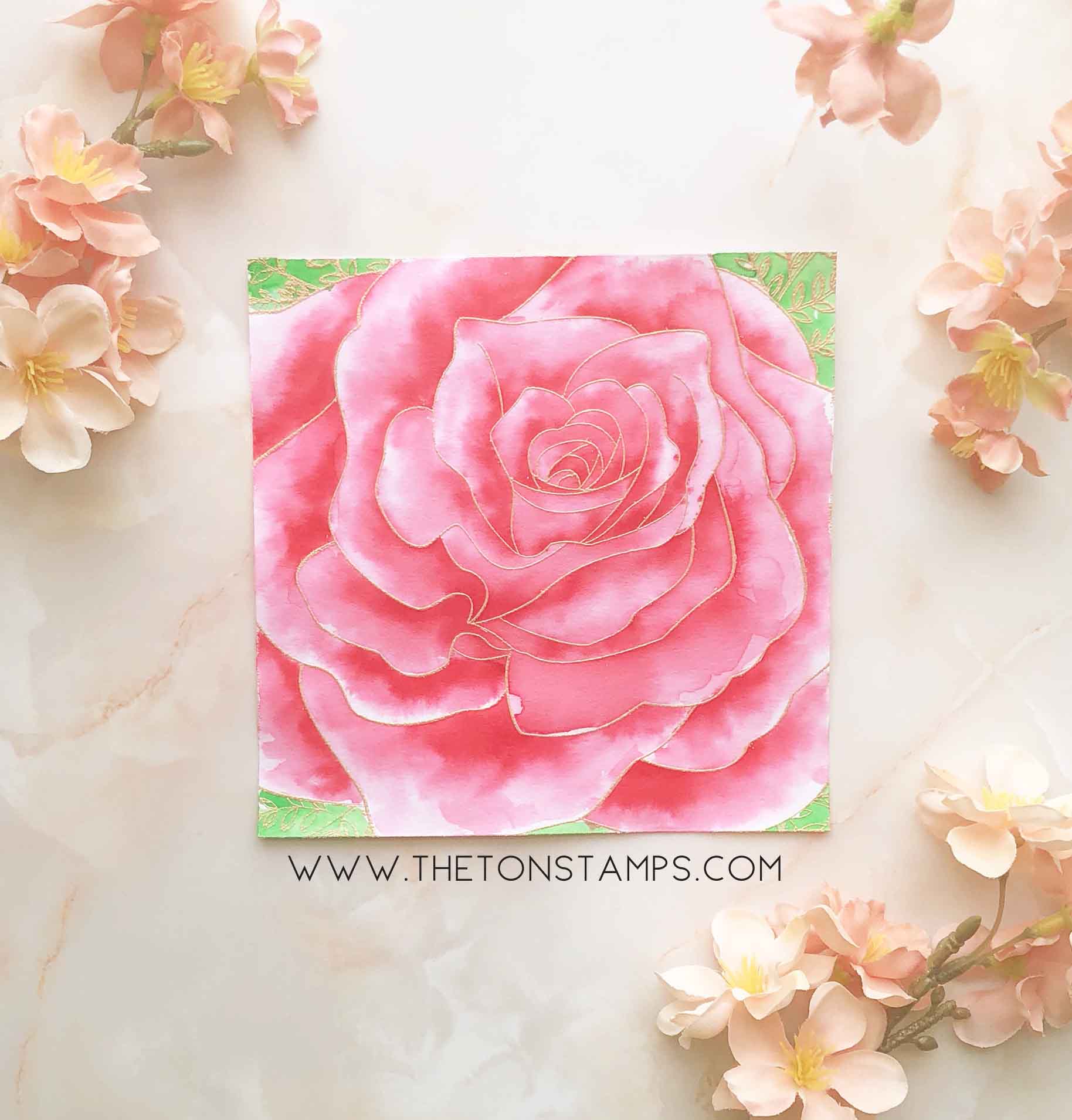Rose Close Up Cling Background