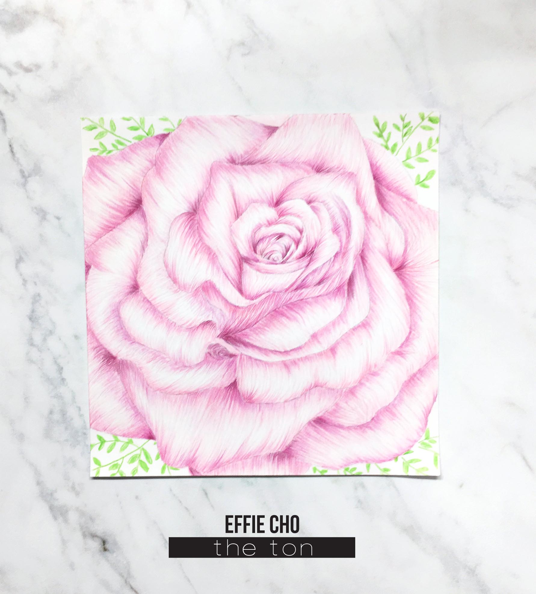 Rose Close Up Cling Background