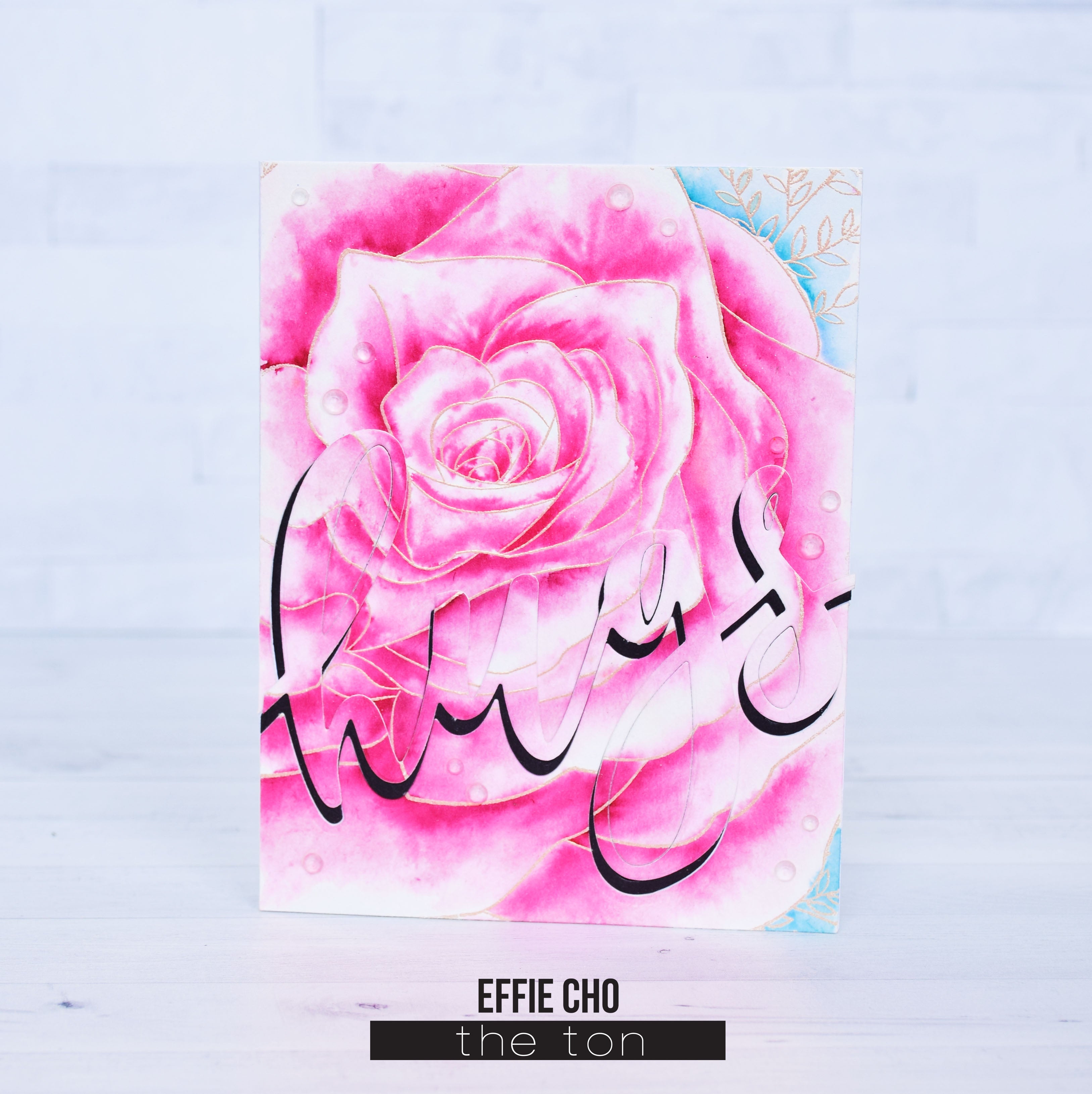 Rose Close Up Cling Background