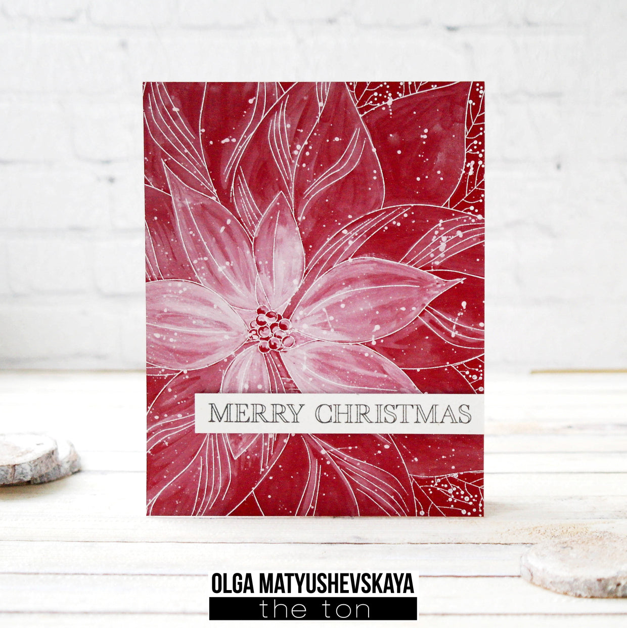Poinsettia Close Up Background