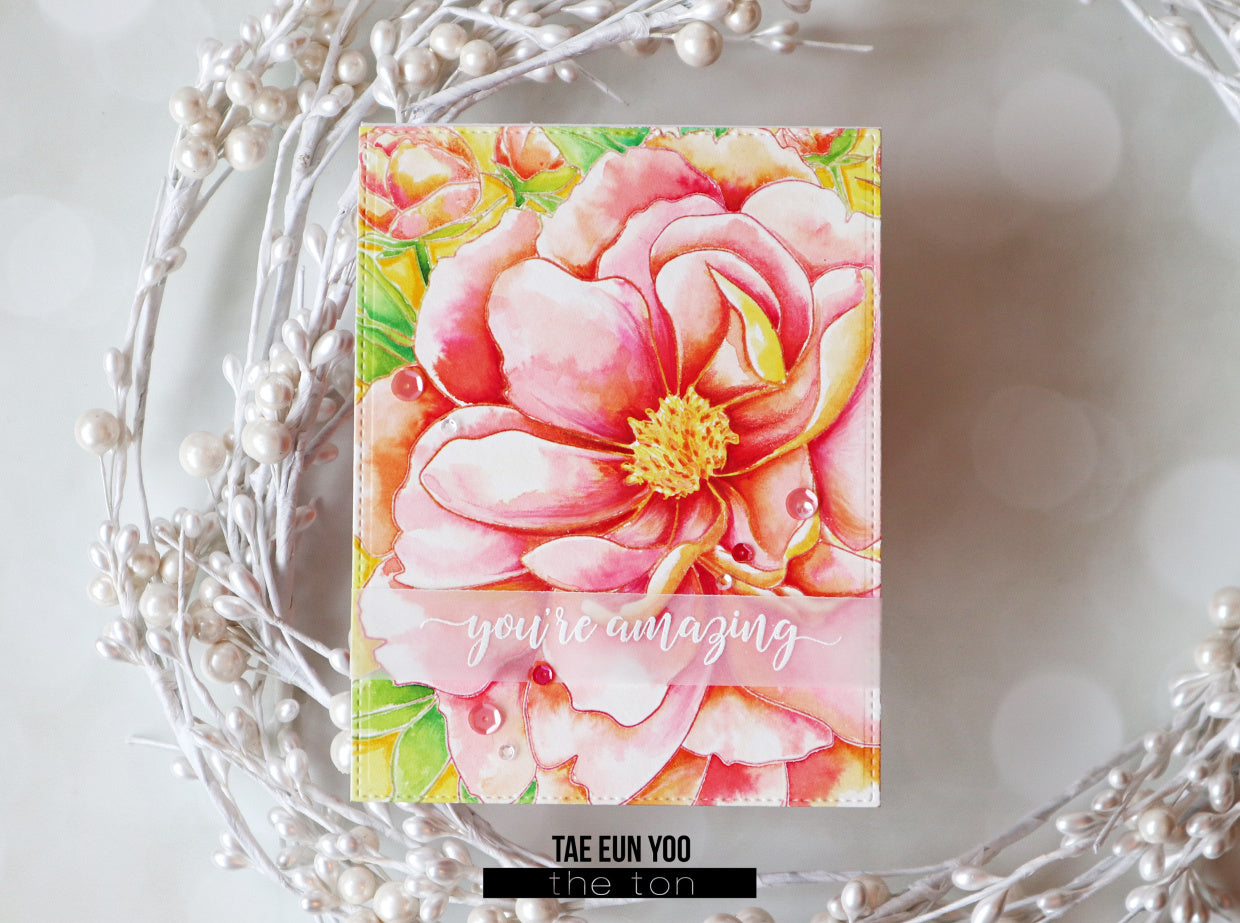 Peony Close Up Cling Background