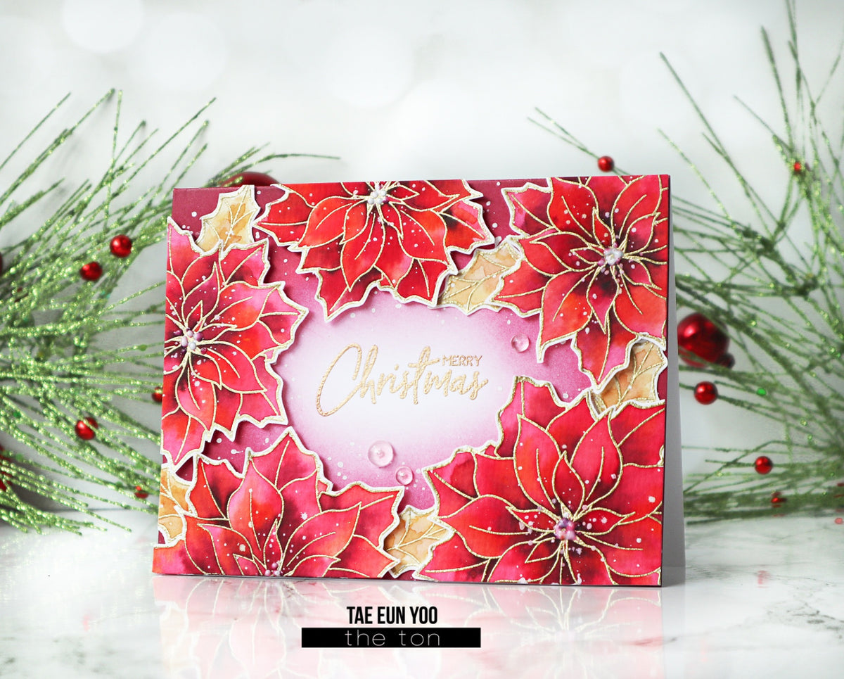 Loose Poinsettias