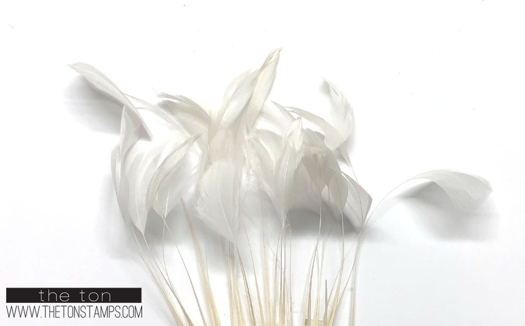 Feathers - White Fine